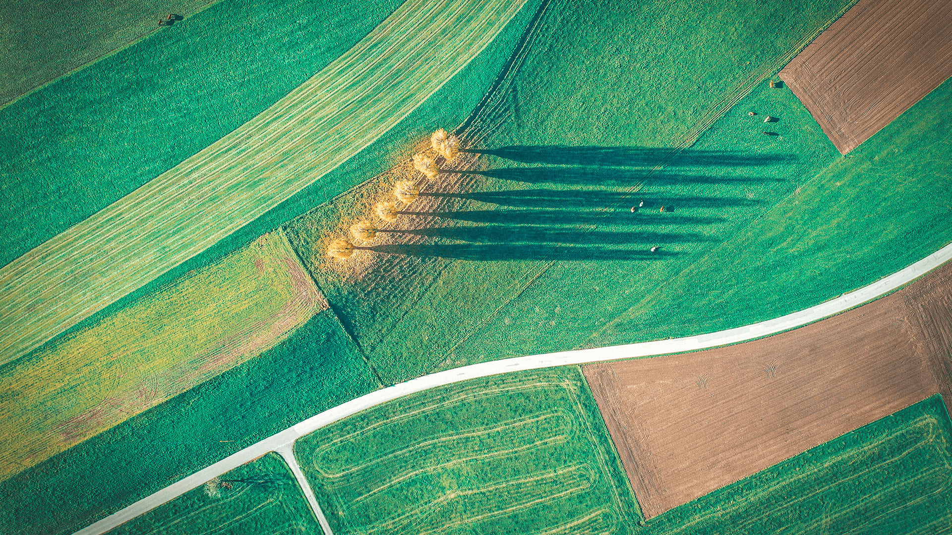 Create your private tour